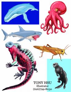 Illustration (1)